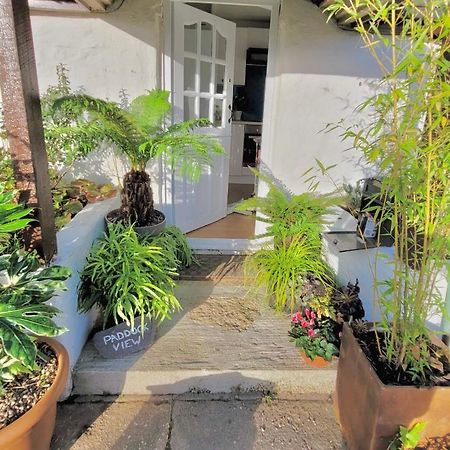 Idyllic Cornish Cottage, Superking Bed, Private Garden Dogs Welcome 特鲁罗 外观 照片