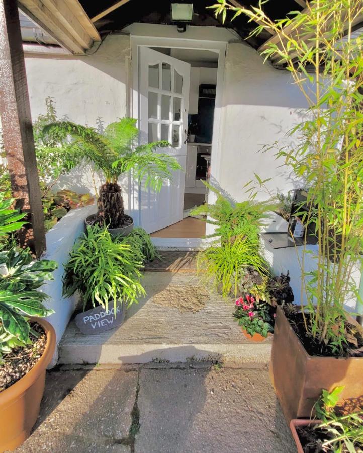 Idyllic Cornish Cottage, Superking Bed, Private Garden Dogs Welcome 特鲁罗 外观 照片