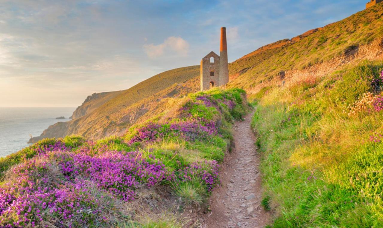 Idyllic Cornish Cottage, Superking Bed, Private Garden Dogs Welcome 特鲁罗 外观 照片
