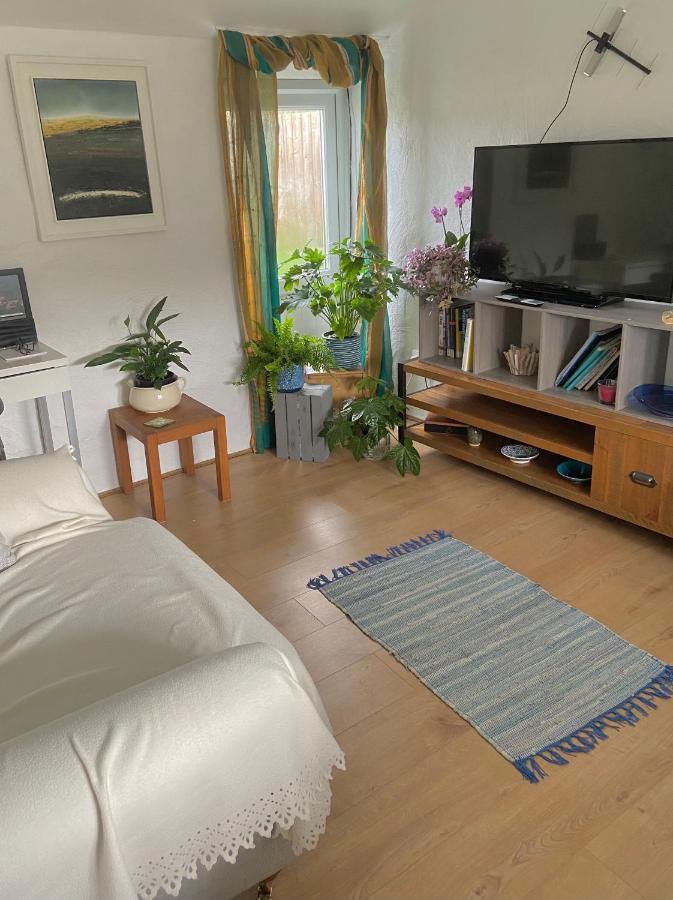 Idyllic Cornish Cottage, Superking Bed, Private Garden Dogs Welcome 特鲁罗 外观 照片