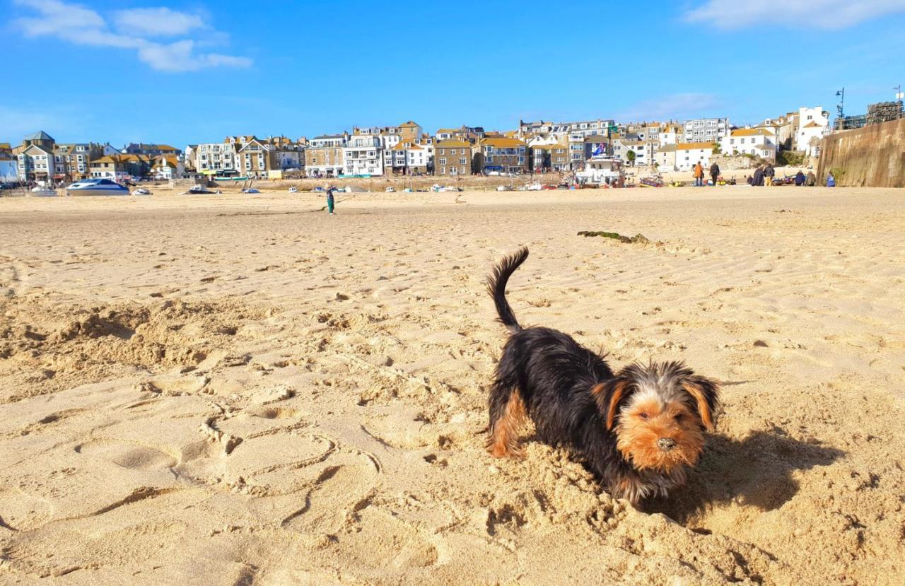 Idyllic Cornish Cottage, Superking Bed, Private Garden Dogs Welcome 特鲁罗 外观 照片